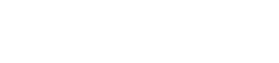 new logo transparent